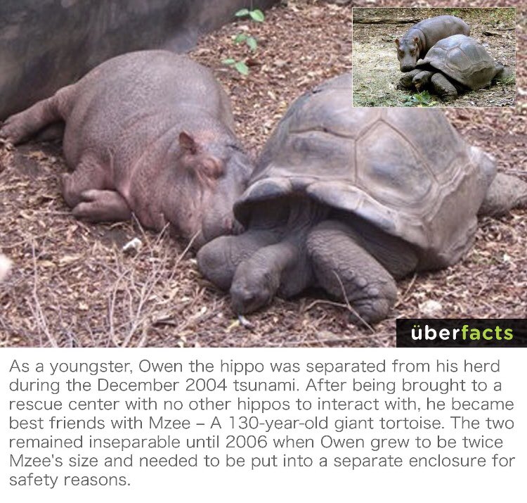 AminaGTRoad's tweet image. 