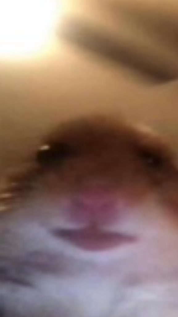 vivcherri's tweet photo. @shanedawson Me waiting https://t.co/KjGDoZPVzH