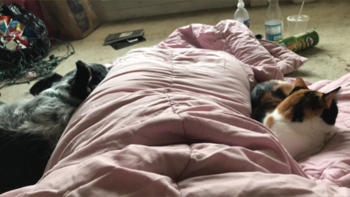 MiranaStNymph's tweet photo. How do I tell these girls, I need get up? #StillPacking #NeedToPack https://t.co/pkpugHpVHz