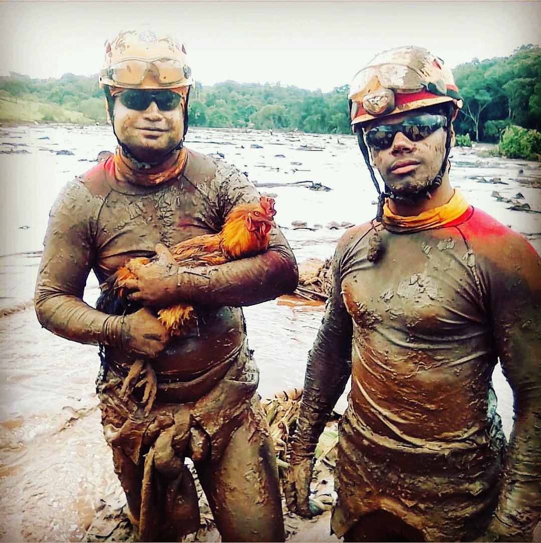 Bombeiros_MG's tweet image. 45 animais foram resgatados hoje (30) até o momento.