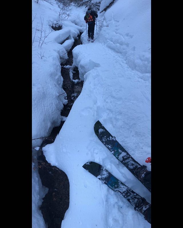 ContinueBrand's tweet photo. Continue exploring. @dallin_twilligear en route to gobblers knob. #splitboarding #explore #utah #backcountry https://t.co/AFRQhLDw2g https://t.co/JtOCLGQbxV