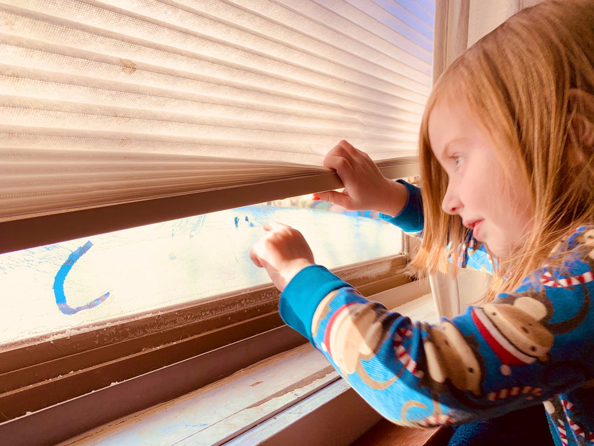 messiahcomplex's tweet photo. Here in the Canadian Deep South of #Minnesoba we operate in a Province of #Proanoia: The Idea that everything is out to Help You. #ThankYou #PolarVortex2019 for turning  windows into #Art boards and for windowsill @GrainBeltBeer chilled promptly upon request. https://t.co/INdTtriooD
