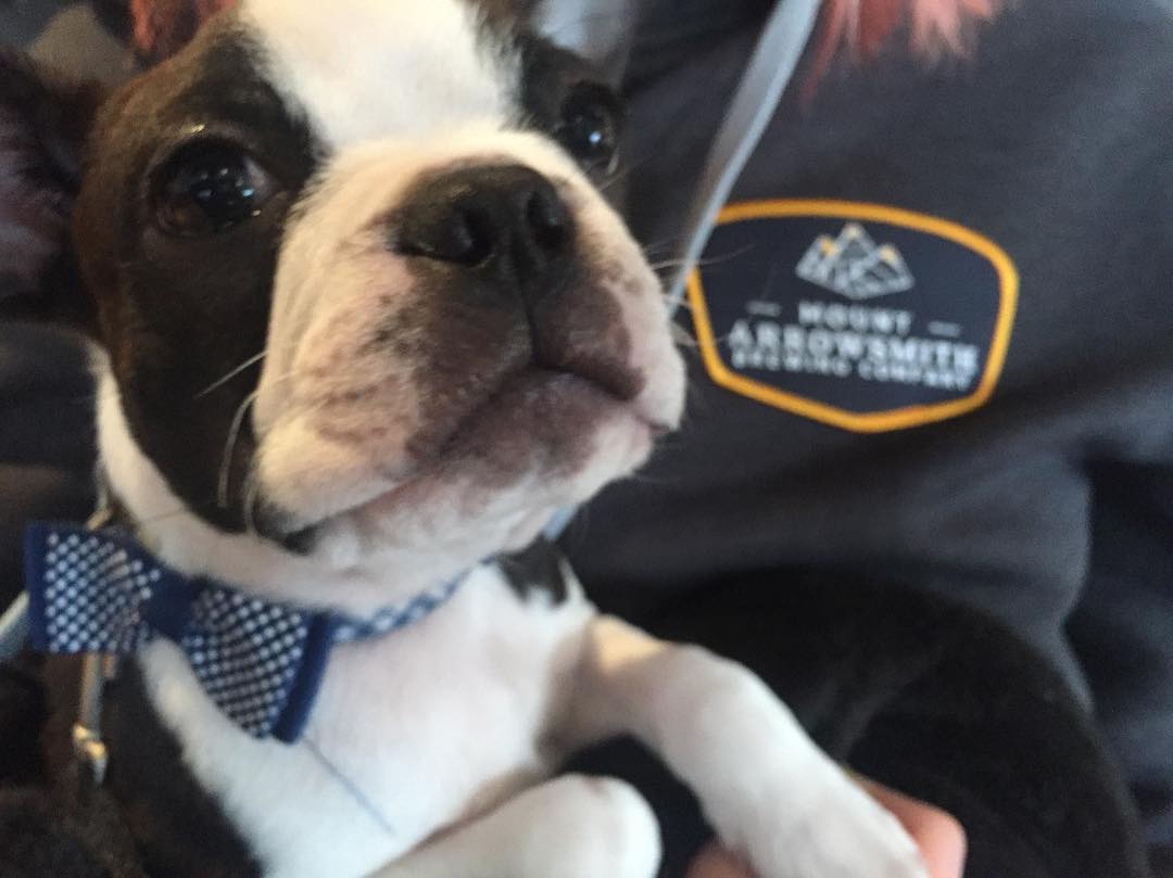 MAbrewing tweet media