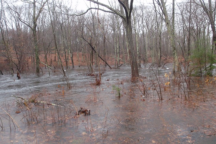 NOAAFish_GARFO's tweet photo. New paper from our office out on river flooding patterns in the northeast -- what changes are we seeing and what are the implications? Paper here: https://t.co/9ejY4FUX3F. More info: https://t.co/FZiEjXn9nF https://t.co/ObcH3me4Qt