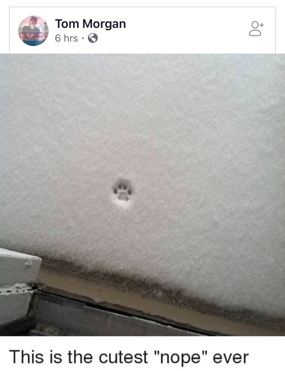 JasonTriedIt's tweet image. #VortexVibes