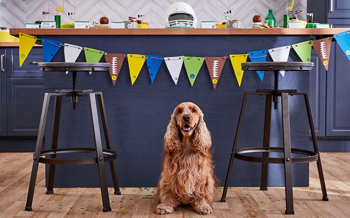 FleaAway's tweet photo. We're getting excited for the #SuperBowl, even if it's just for the #commercials and food. 😏Check out our #dog friendly activities for the big day.. https://t.co/VII4uLfzVN https://t.co/qe7btbJYFL
