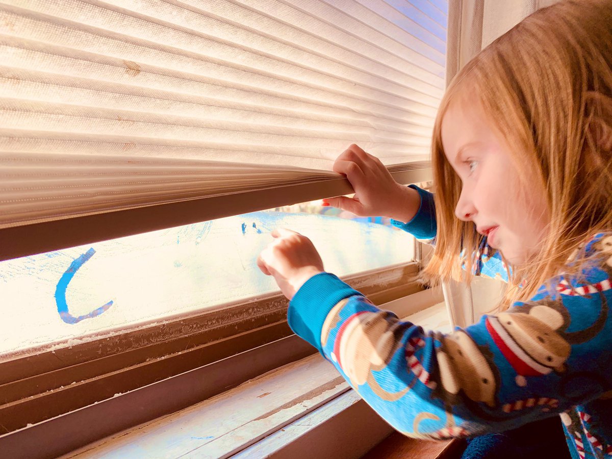 messiahcomplex's tweet photo. @superherofbmx Here in the Canadian Deep South of #Minnesoba we operate in a Province of #Proanoia: The Idea that everything is out to Help You. #ThankYou #PolarVortex2019 for turning  windows into #Art boards and for windowsill @GrainBeltBeer chilled promptly upon request. #ColderThanMars https://t.co/0LT3gzyd1T
