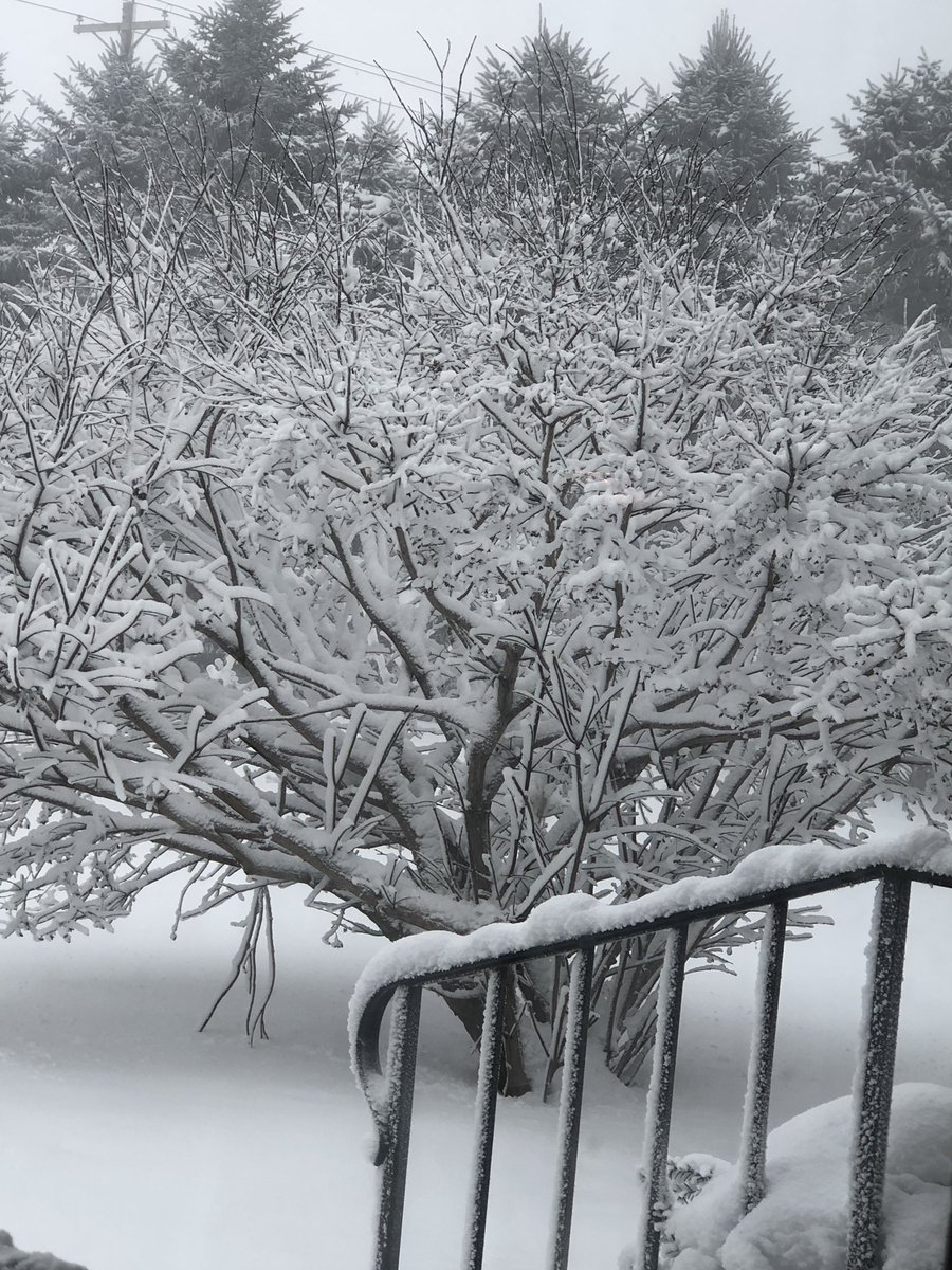 mossylilyx03's tweet photo. #57DeepFreeze https://t.co/RWTuiN2FNB