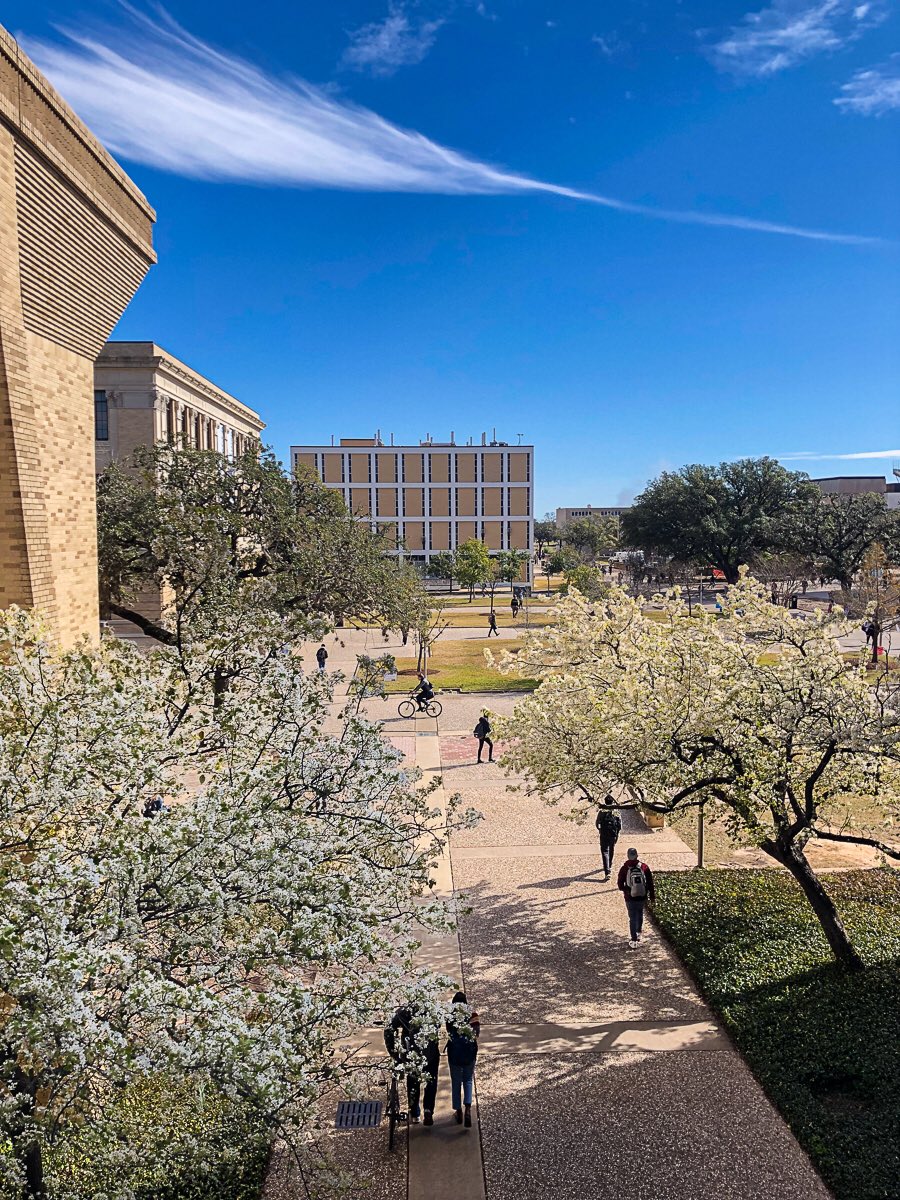 TAMU's tweet image. Winter in Aggieland ☀️👌