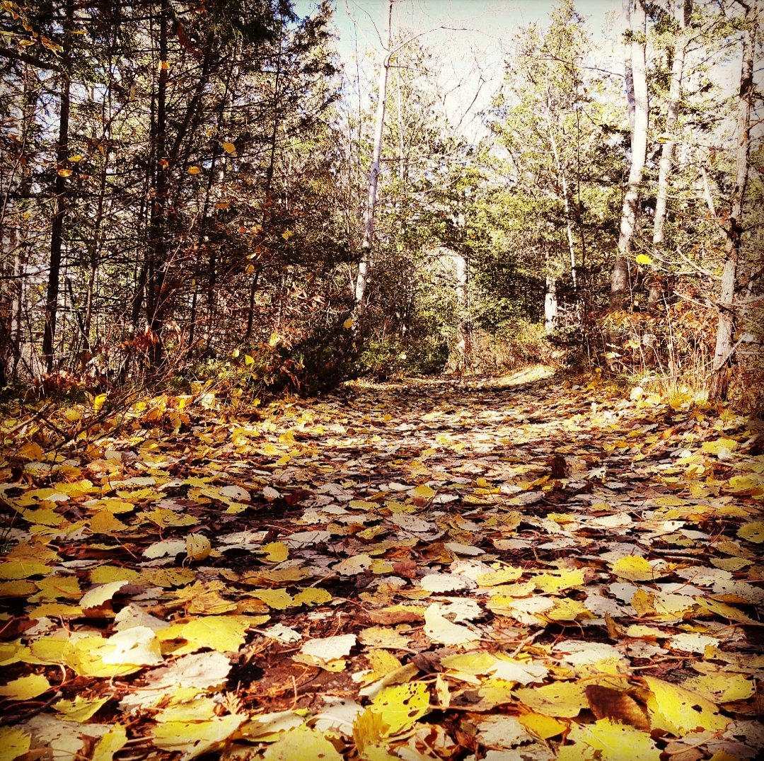 FirstGenJen's tweet photo. #mentalhealth means finding a happy spot, person, or memory to focus on when you're not ok #BellLetsTalk https://t.co/fBzSWcvl9V