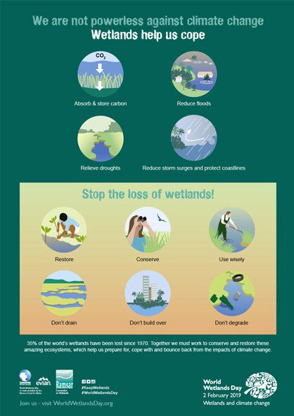 FoundationStei's tweet photo. WETLANDS ARE NATURAL SOLUTION TO CLIMATE CHANGE.
#WorldWetLandsDay
#STEi4Wetlands
#KeepWetlands
#Restore
#Conserve
#Usewisely
#DontDrain
#Dontbuildover
#DontDegrade
#GoodClimate https://t.co/jbYeblJS2K