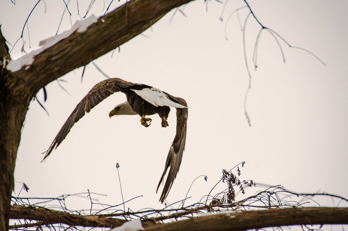 Tad Locher (@tad_locher) on Twitter photo 