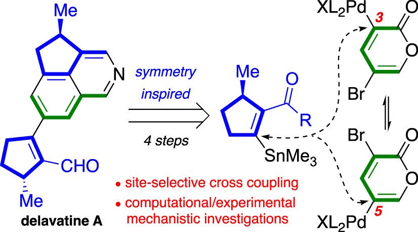 Total Synthesis tweet media