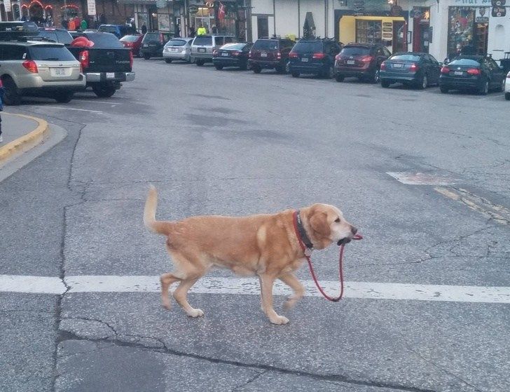 11 animales con conductas bizarras que nadie podría explicar 😂 🤔
https://t.co/VwlWVqMFuy https://t.co/QBHfsaUsMH