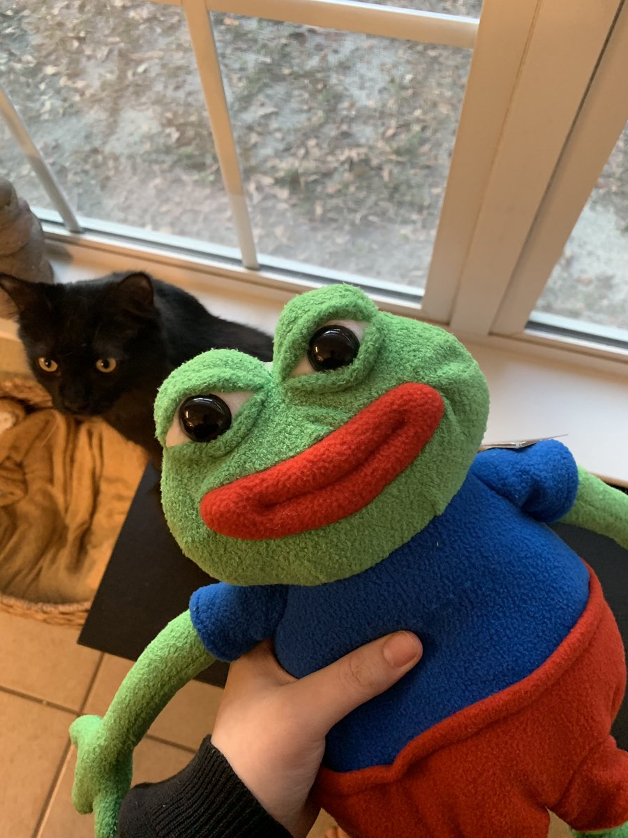 pepe plush