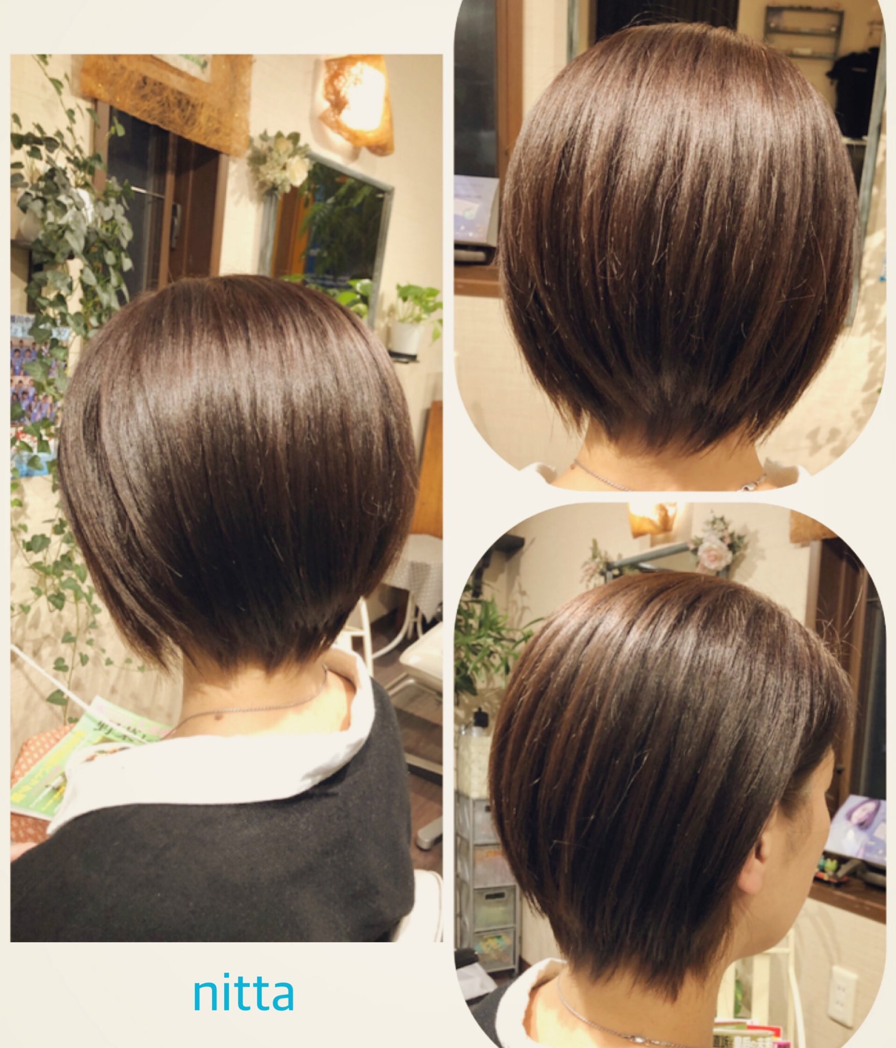 シャギーボブ Twitter Search Twitter