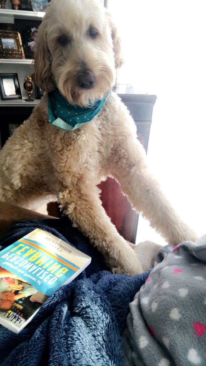 NikStivers's tweet photo. Another snow day? Gucci says, YES! Read on Mama!! ❤️❤️❤️#alwayslearning #lovemyjob #personalizedlearning #ednerd #lovesnowdays https://t.co/8Rgw4R3iXN