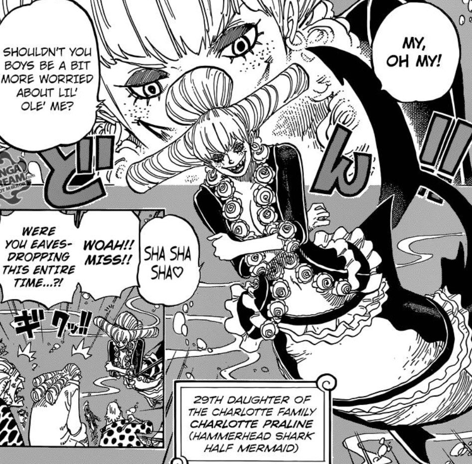 Featured image of post One Piece Praline And Aladdin