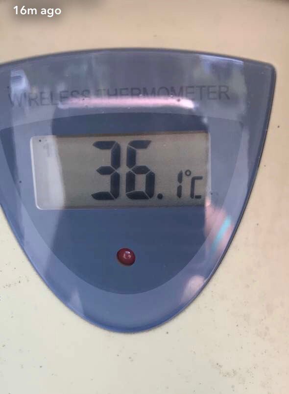 tepunamike's tweet image. Just another stunning Hawke’s Bay day. #whatheatwave?