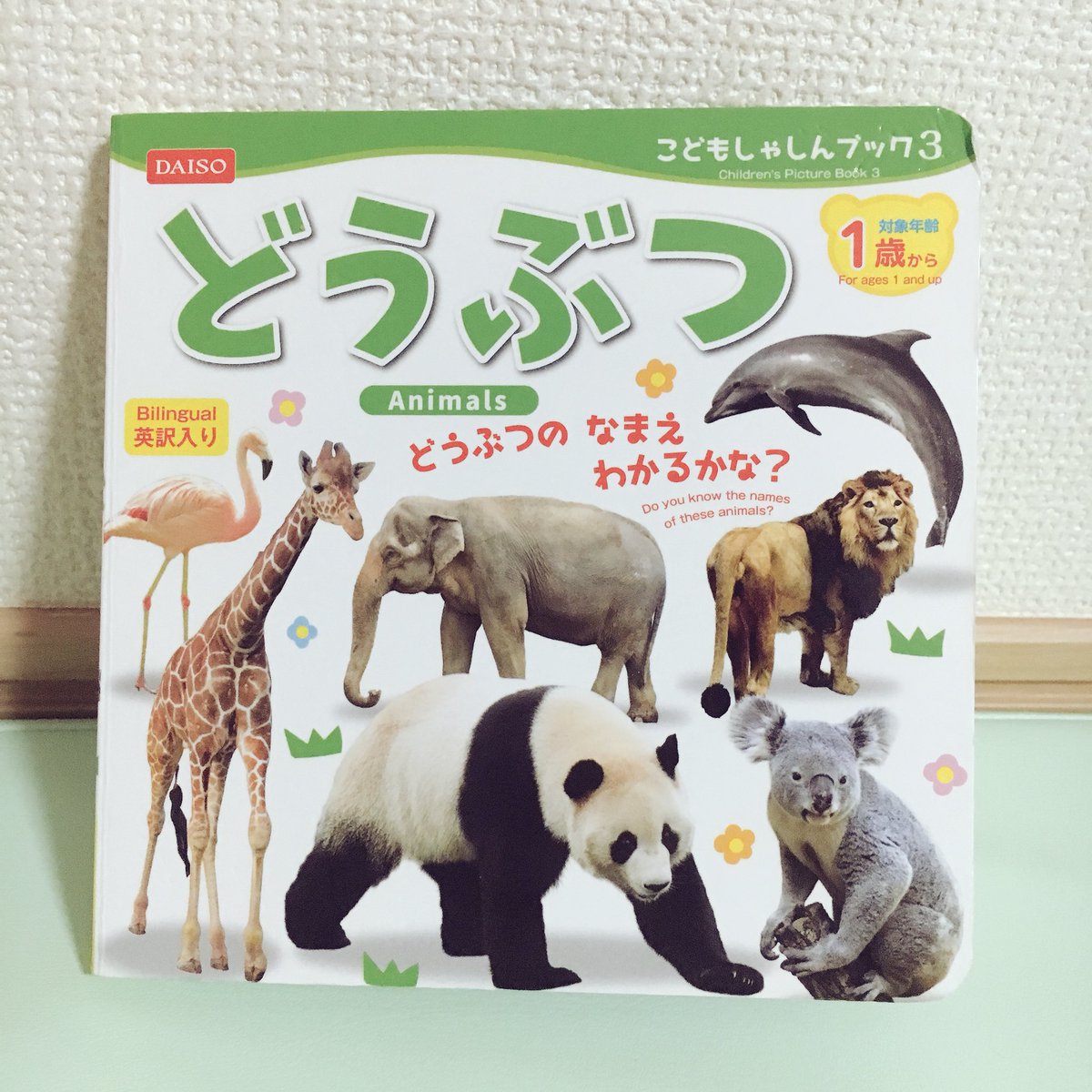 うしこ ゆるりおうち英語 En Twitter 100均 ダイソー のミニどうぶつ図鑑がお気に入りの娘 鳥 海の生き物 陸の生き物がバランスよく載ってて100円はありがたい 持ち歩きにも最適 しっかりした図鑑も欲しいけど 分厚かったり重いと自分でうまく扱えなくて うしこ ゆるりおうち英語 En Twitter 100均 ダイソー のミニどうぶつ図鑑がお気に入りの娘 鳥 海の生き物 陸の生き物がバランスよく載ってて100円はありがたい 持ち歩きにも最適 しっかりした図鑑も欲しいけど 分厚かったり重いと自分でうまく扱えなくて