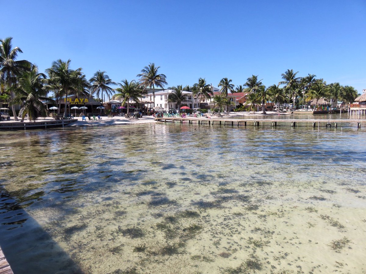 Country music over the water in #Belize? The new @LosersBar on Ambergris Caye #CountryMusic sanpedroscoop.com/2019/01/countr…