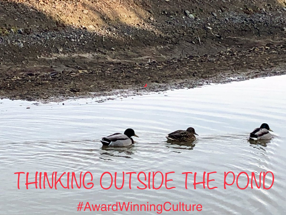 Noticed these ducks all hanging out in this muddy, nasty puddle yesterday.  Despite the chaotic surrounding, lack of vegetation and depth...they were thrilled to be paddling around the shallow murkiness.  Their willingness to be GRATEFUL for what they had was somehow...INSPIRING