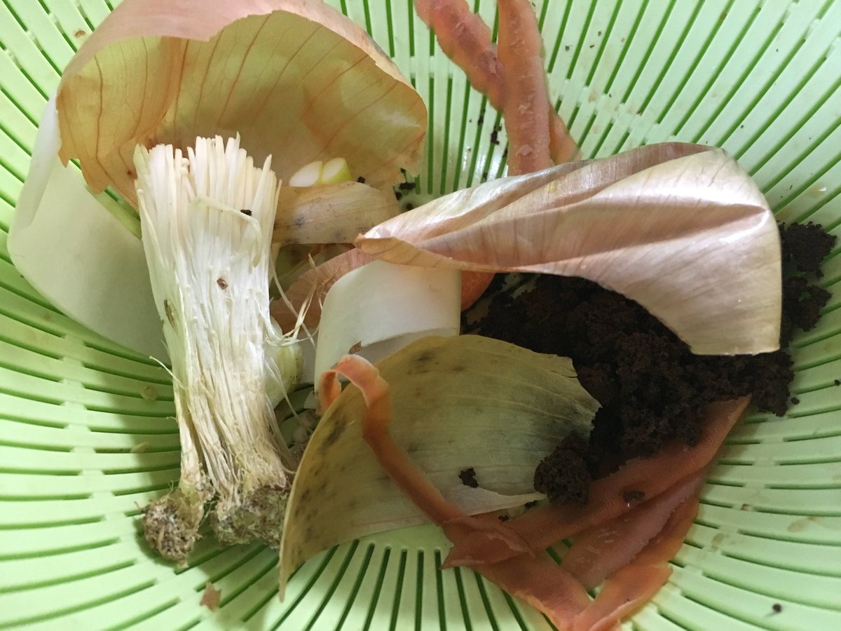 GomiKitchen's tweet photo. きょうの生ゴミ55g
えのきだけ、にんじん、ネギ、大根、玉ねぎ、紅茶
#compost
#コンポスト
#kitchengarbage
https://t.co/ayPc6xlHkx https://t.co/U4p4PmKGHR