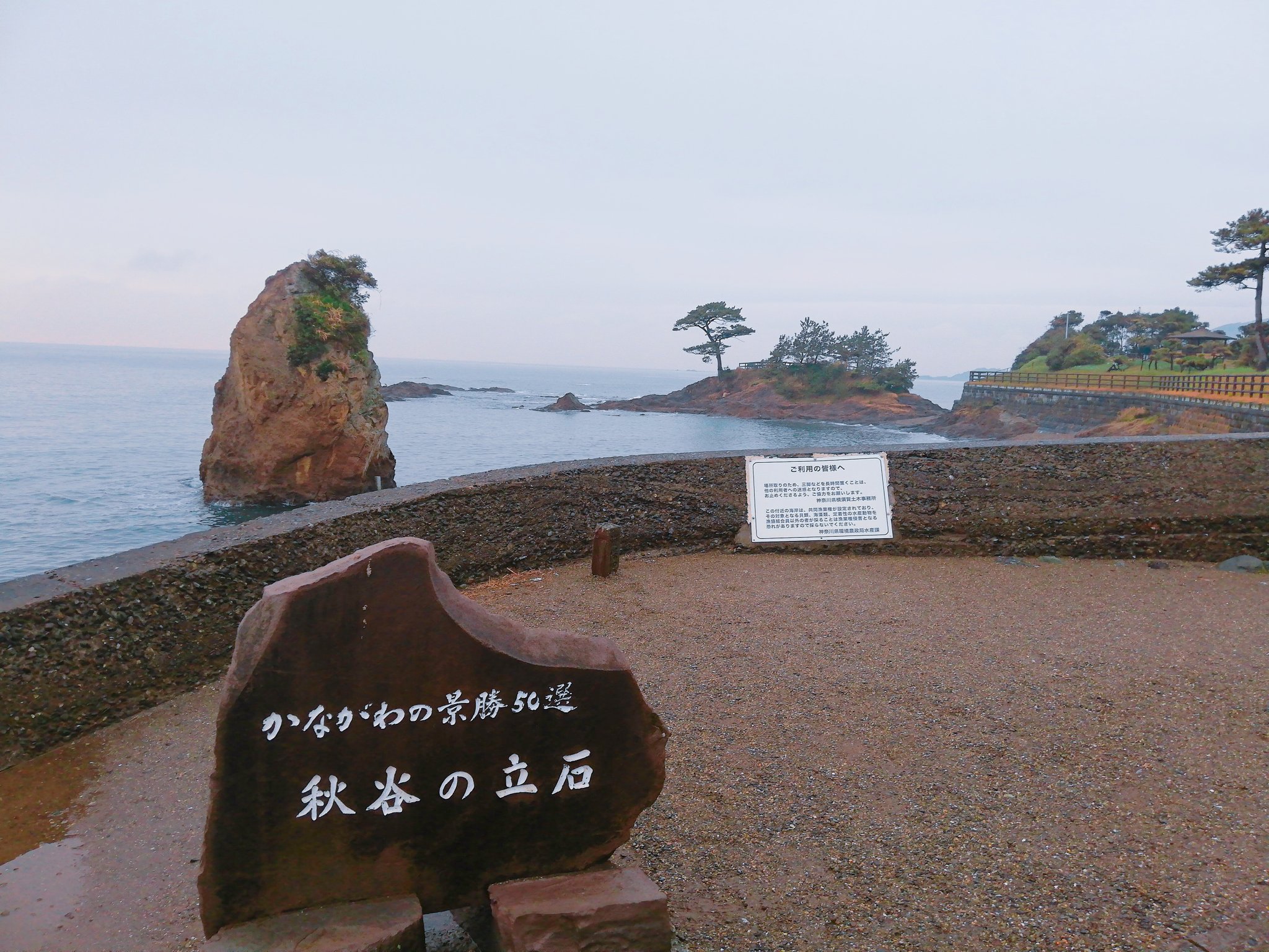 百合根 杏ᕱ ᕱ 土日お休み En Twitter 三浦半島旅行 秋谷の立石 曇ってて岩の真ん中から富士山が見られず残念 でも美しかったよ 秋谷の立石 三浦海岸 三浦半島 国内旅行 レンタカー かながわ景勝50選 立石 松 観光 公園 秋谷海岸 日本の絶景