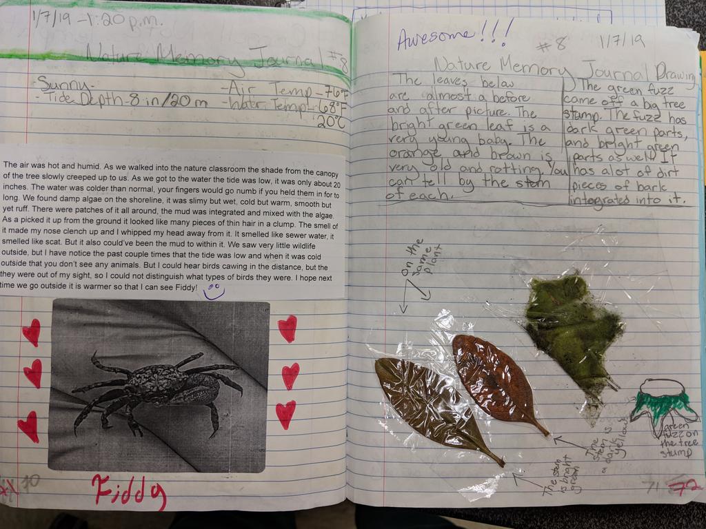 So proud of my 7th grade naturalists @Shorecrest  Combining nature exploration, writing, and drawing in their  nature journals. Shout out to @NatureAwareness for the nature memory journal ideas. #naturemagic #environmentaleducation #GoChargers