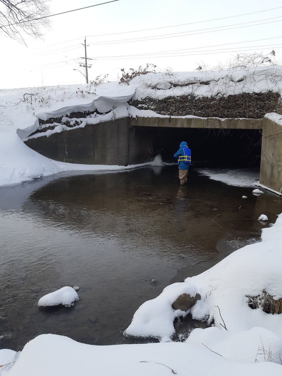 TAing <a href="/merrinm/">Dr. Merrin Macrae</a>'s @Waterloo_Geog 407 course where the students will learn how to analyze stream samples tomorrow and take their own samples next week! Having help from <a href="/UWEcologyLab/">UWaterloo Ecology Lab 🌱</a>❄️💧👩‍🔬