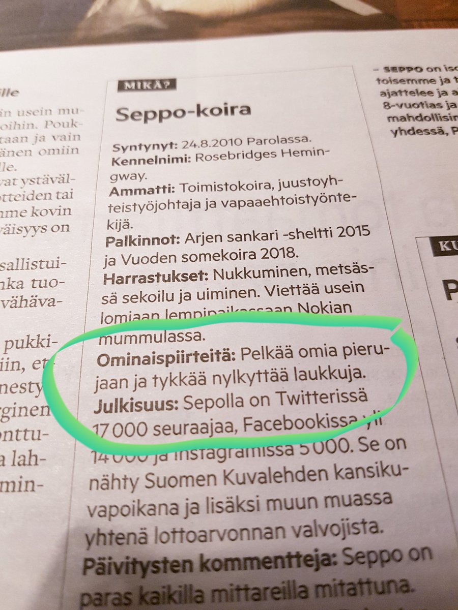 Olen haastatteluissani kirjoittanut monta CV-laatikkoa. Seppo-koiran ominaispiirteille ei silti ole voittajaa. 😂 <a href="/seppokoira/">Seppo</a> #fakta