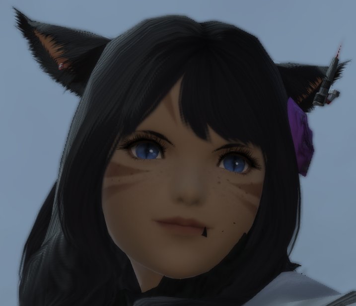 broil2 gives elphie a black triangle next to her lip i demand a hotfix for this