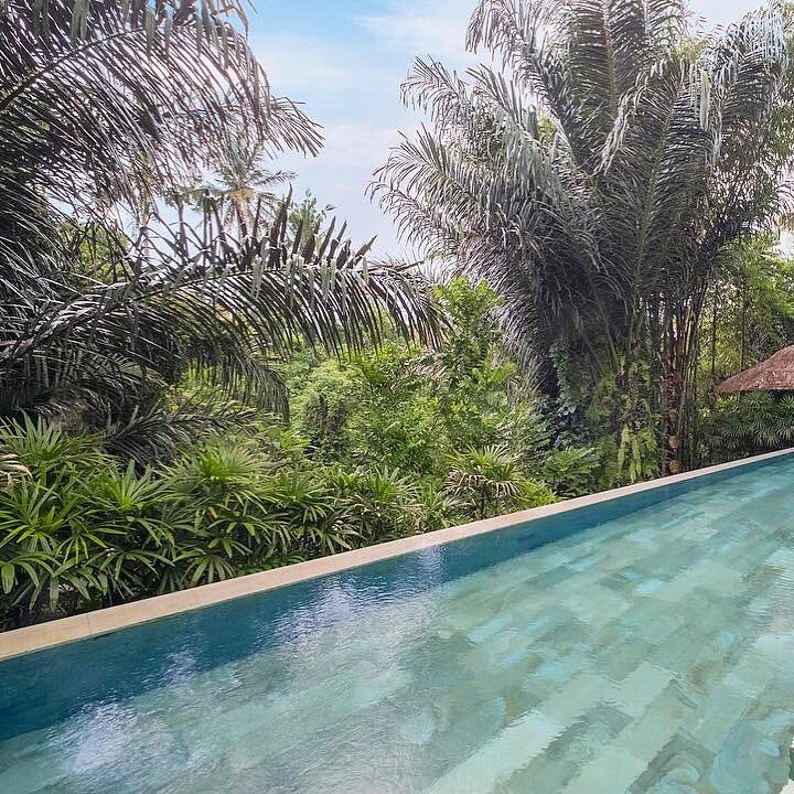 A pool with a view jump into our jungle pool and be embraced by nature ☀️🌴💧
#ThePuristVillas #MyPurist #PuristExperiences
For inquiries and bookings please visit
🌐 thepuristvillas.com or email us directly at
✉ info@thepuristvillas.com .
.
.
#bali #ubud #explorebali