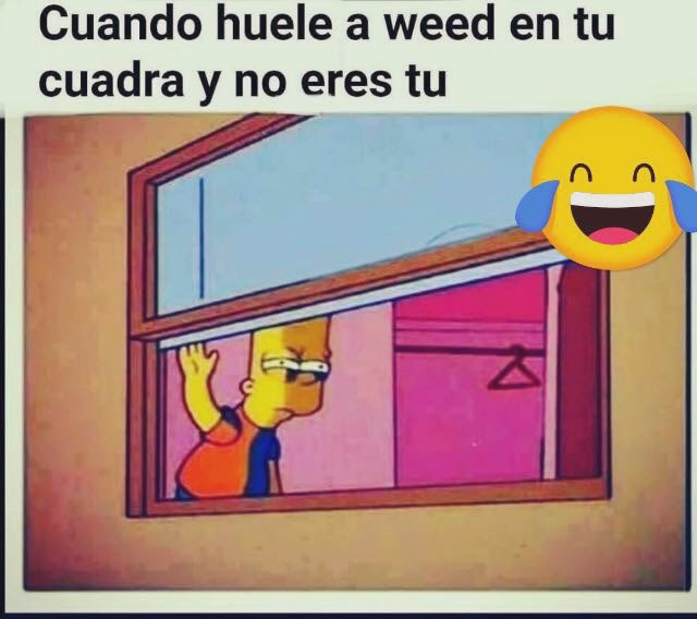 Wiilly8's tweet image. True!