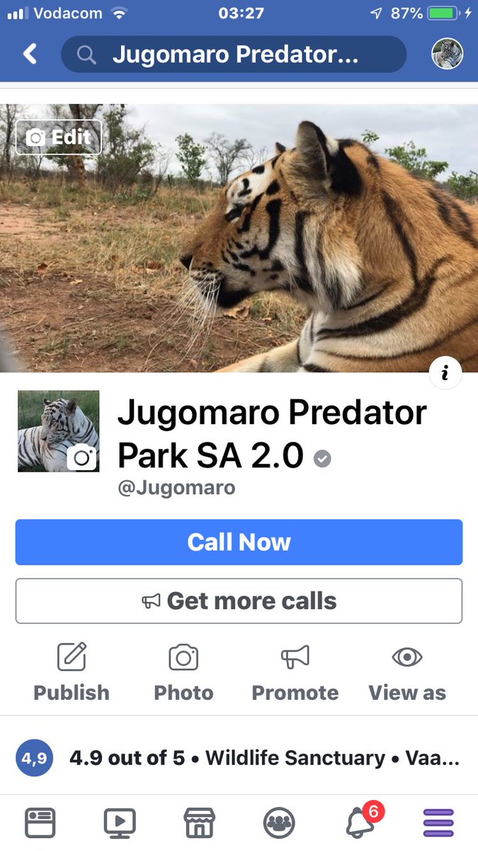 JugomaroSa's tweet photo. Like our parks fb page... meet some amazing big cats. Hand feed them through the fence. Restaurant,bar, pool #vaalwater #jugomaro #lion #tiger https://t.co/5WDd0RGdi2
