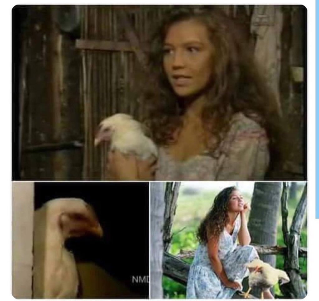 Un día como hoy, pero de 1994, muere “Macha” la gallina de Marimar.
😪