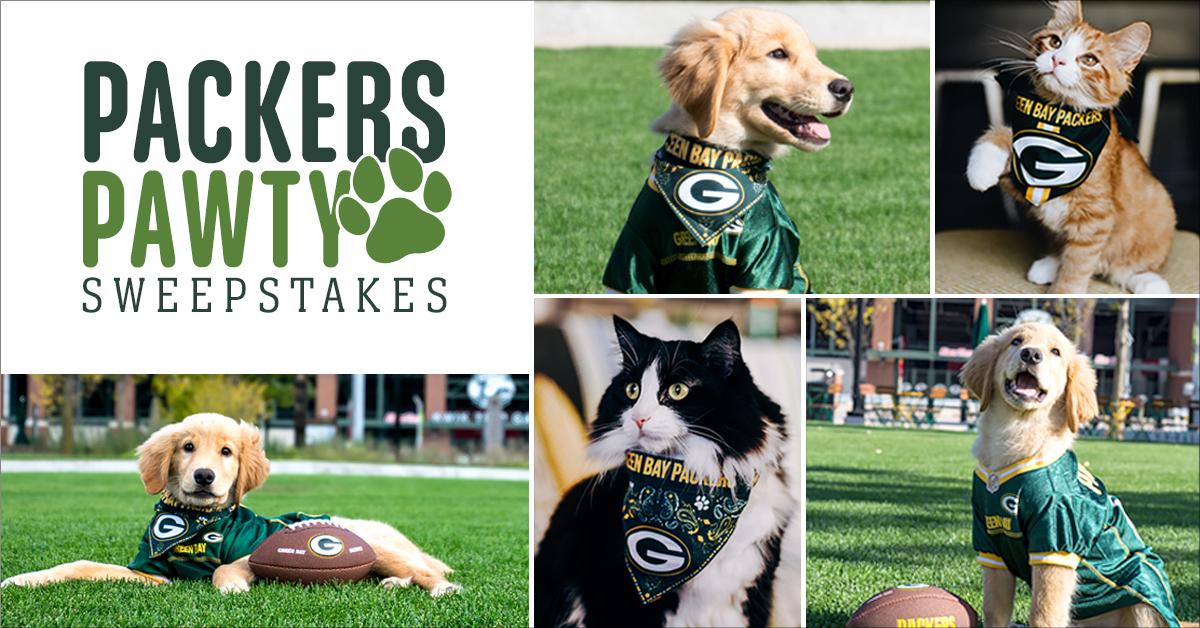 packers pet gear