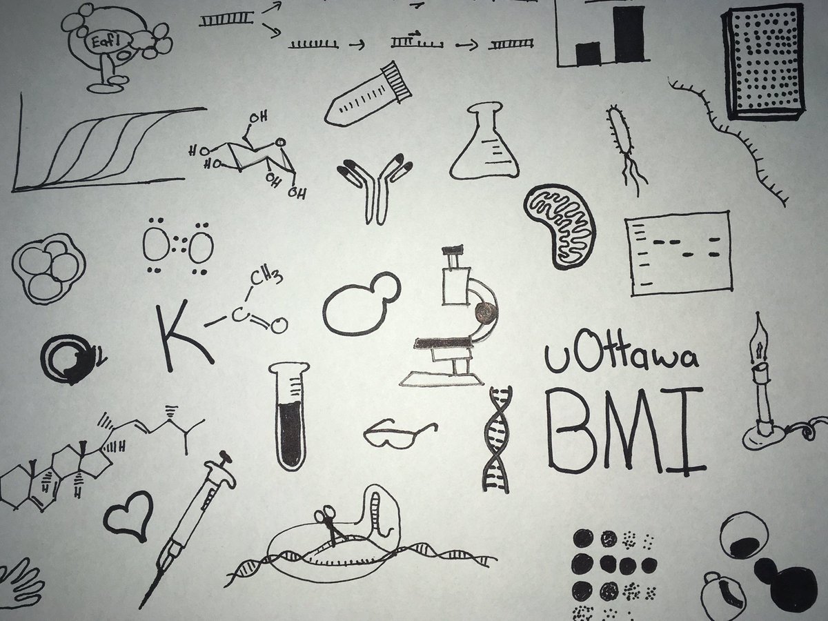 Elizabeth Walden (@ewaldenscience) on Twitter photo Inspired by #uottawawellness art therapy and the <a href="/uOttawaBMI/">uOttawaBMI</a> Illustration contest I doodled common things of my Ph.D. #science Inspired by #uottawawellness art therapy and the <a href="/uOttawaBMI/">uOttawaBMI</a> Illustration contest I doodled common things of my Ph.D. #science