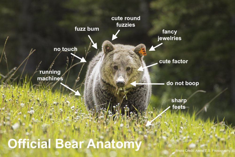 Trust me, I'm a scientist.

#UnscienceAnAnimal