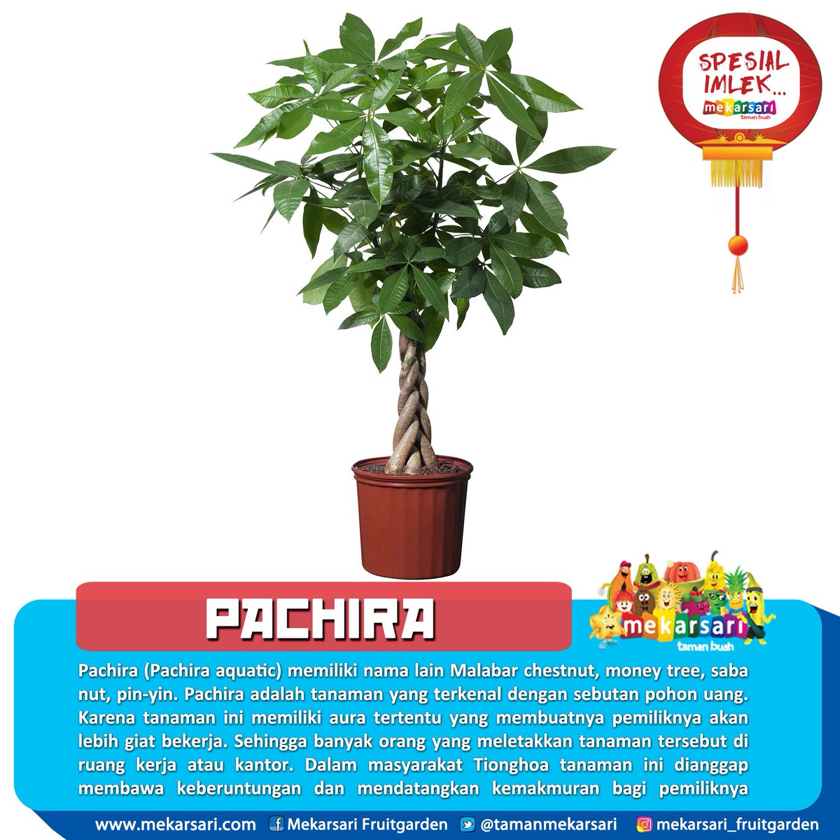 Taman Buah Mekarsari En Twitter Yeeeaayyy H 1 Festival