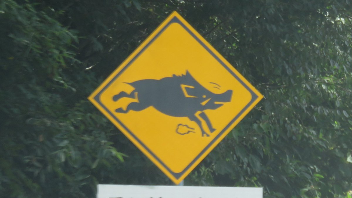 日本の道路標識bot On Twitter 動物注意 該当なし イノシシver 本州以南ではシカよりも現実味がある 奈良を除く 写真は広島呉道路で撮影したものだが 阪和道や宮城県でも目撃情報があるので 全国共通のデザインだろう Https T Co Wopip4wtsm