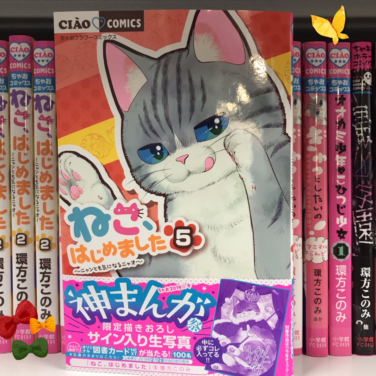 ちゃお編集部 בטוויטר ねこ はじめました 5巻 環方このみ 交通事故にあってネコと入れ替わってしまった男子高校生の尚 入院中の自分が目の前に ニャオは人間にもどれるの ちゃお ねこはじ 環方このみ ニャオ