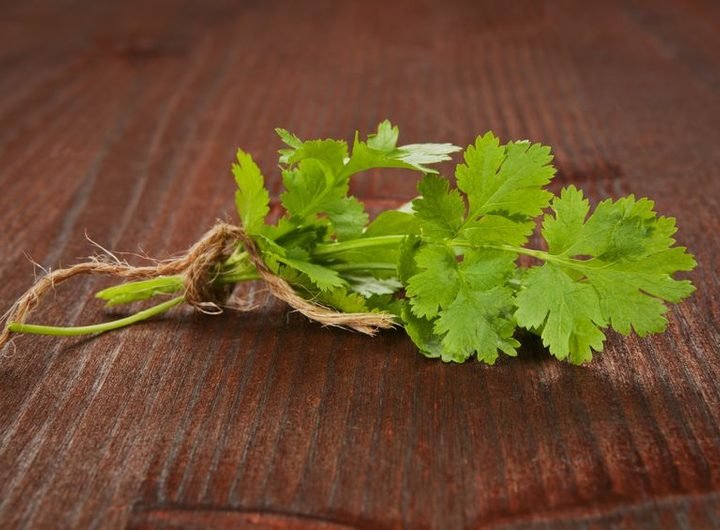 john_johnroy's tweet image. Coriander is known to help raise good #cholesterol &amp;amp; lower bad cholesterol. it is beneficial for helping to stimulate the secretion of insulin, naturally helping to lower blood sugar. It&apos;s anti-inflammatory properties, makes it beneficial for #arthritis.
#wailana #wailanayoga