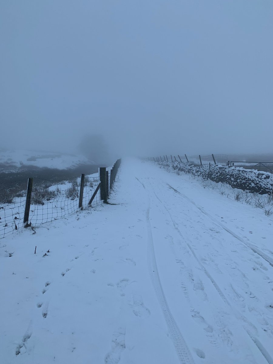 Who else wishes today was a snow day? #freezing #snow