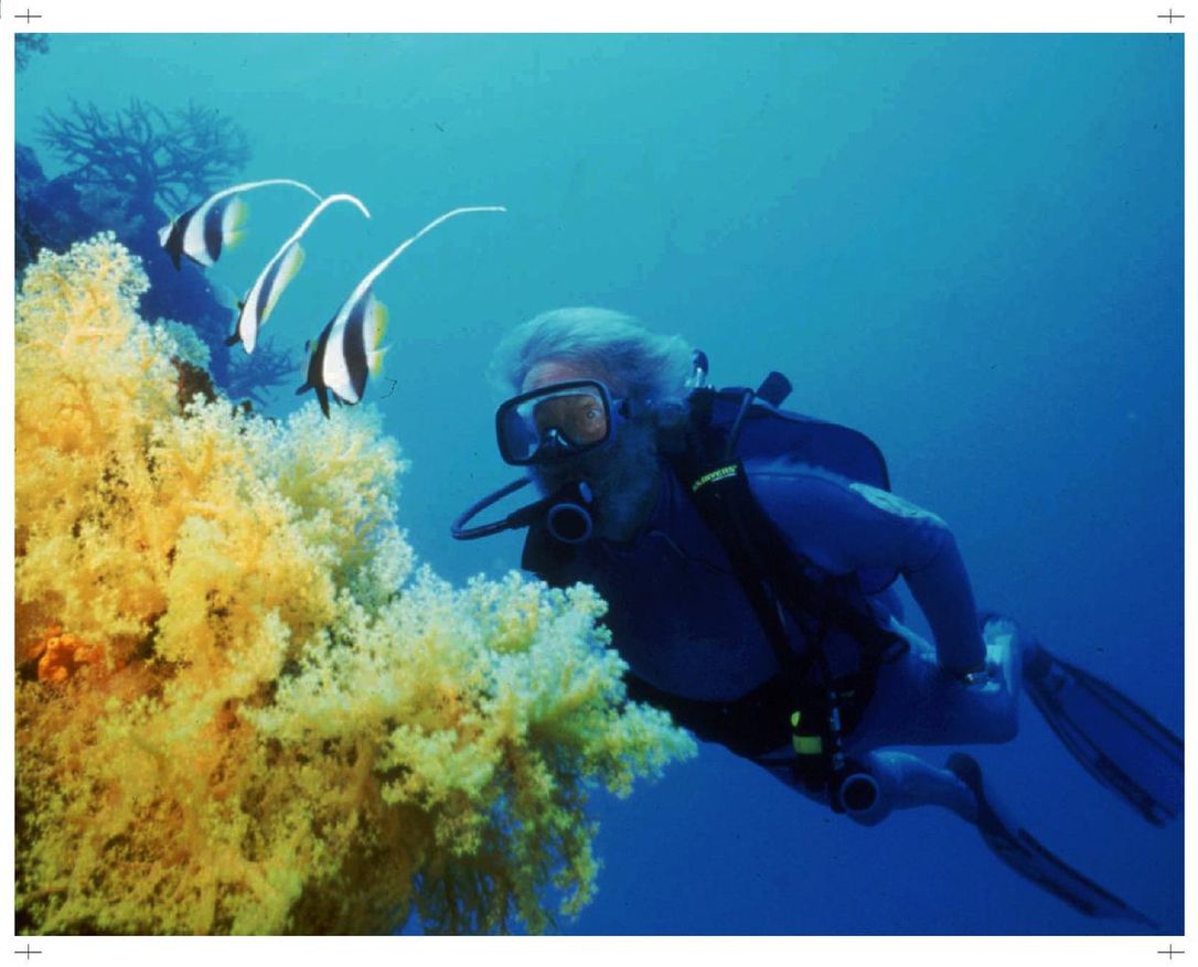 "Every other breath you take is a gift from the ocean.”

The #oceans, said Cousteau, are the difference between human survival and #extinction. Phytoplankton, one-celled organisms that live on the oceans’ surface, produce half of Earth’s supply of oxygen.

thestar.com/entertainment/…