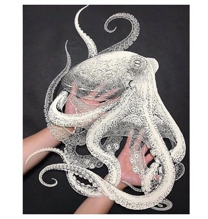 speakeasy_in's tweet photo. Japanese artist Masayo Fukuda has mastered the craft known as 'Kirie'. Fukuda has been practicing Kirie for 25 years and has recently revealed what she believes to be her best work of 2018—an incredible life-sized paper octopus.
#kirie #japaneseart #masayofukuda #artofjapan https://t.co/IJMI18soQi