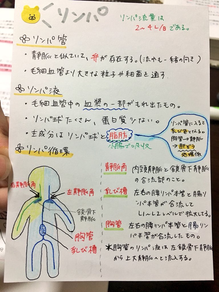 アホな助産師 En Twitter レビューブック リンパ リンパ循環 静脈角 乳び槽 胸管 第108回看護師国家試験