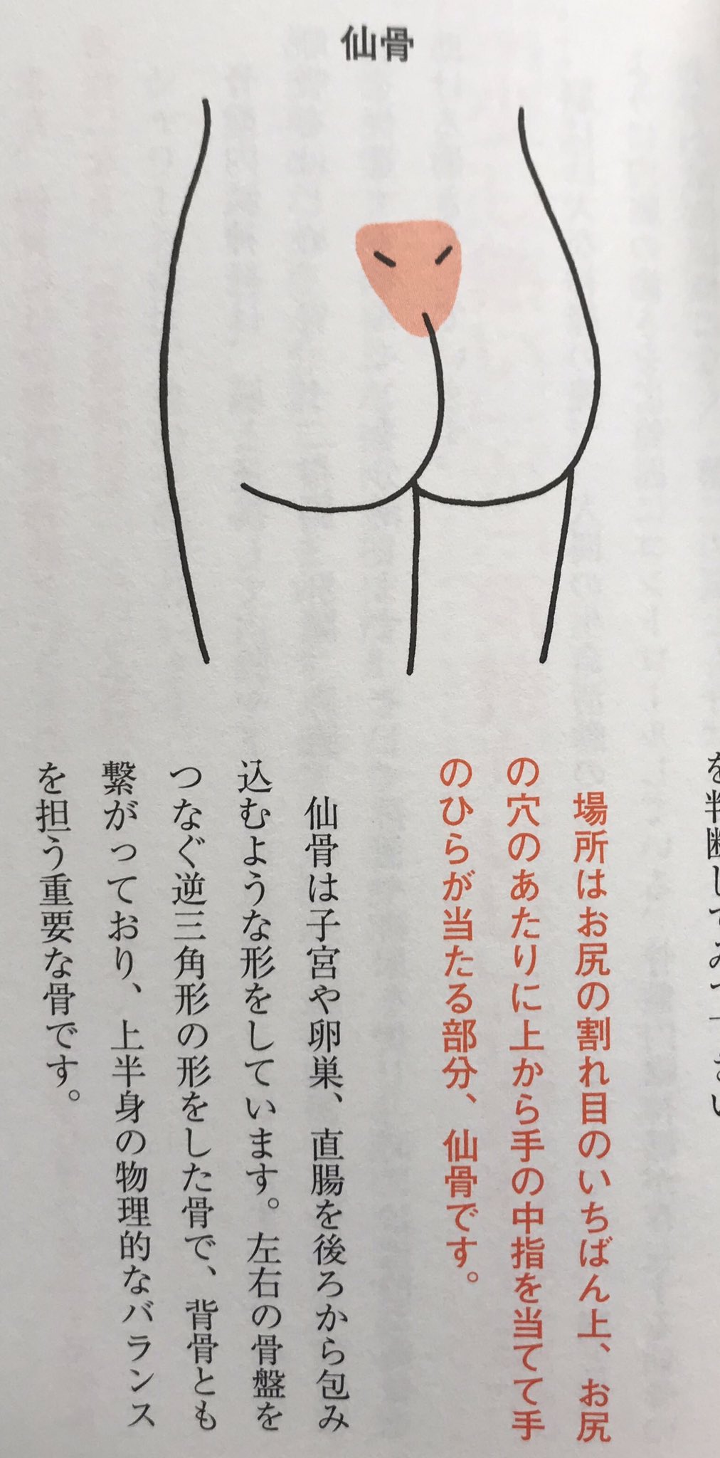 しらかば Hug Yama 年末くらいから夕方になると異常に足が冷えて揉んでもホカペや毛布で温めてもダメで困ってました 情報ありがとうございます さっそくやってみます٩ ᐛ و Twitter