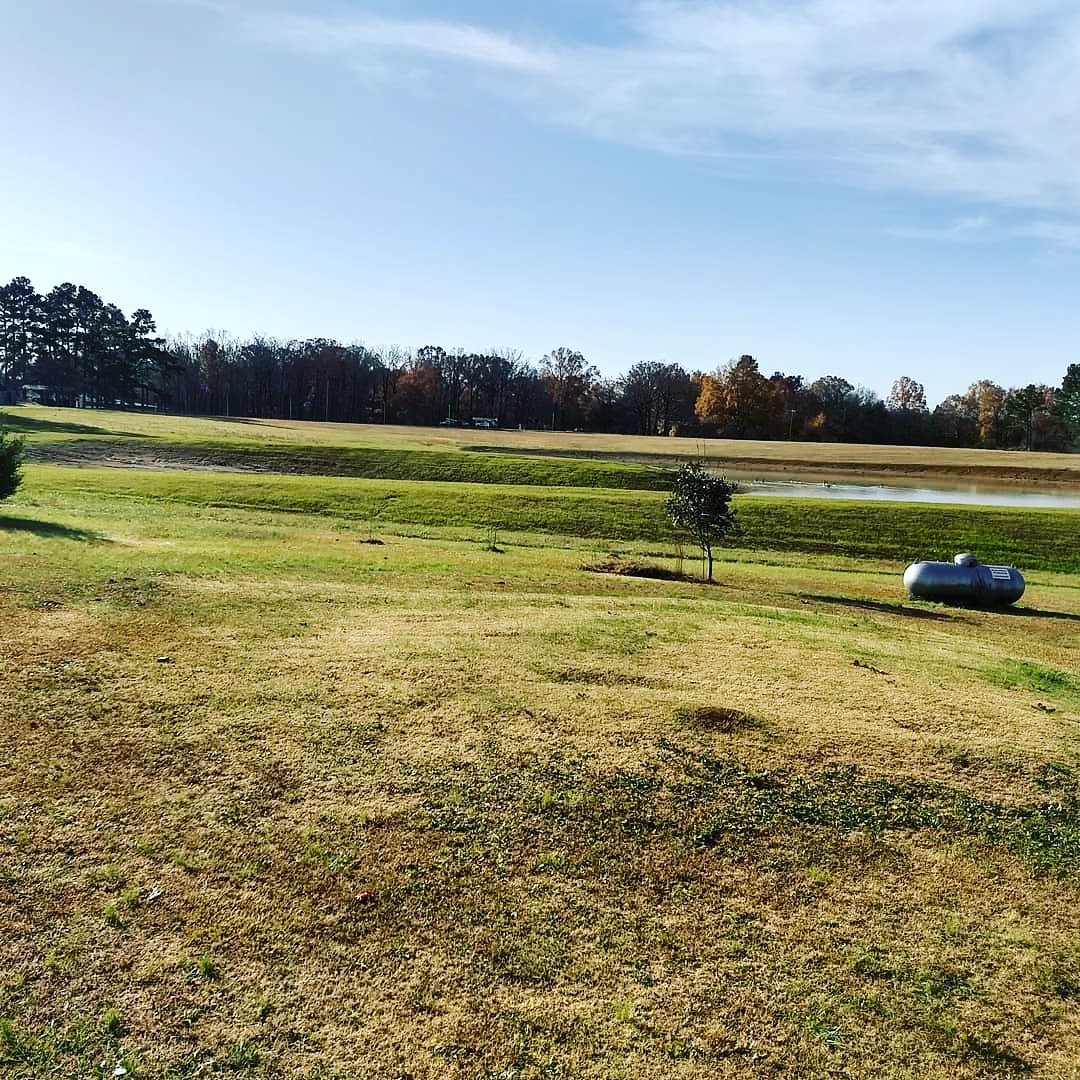 DillPhotos's tweet photo. #grass #trees #tree #sky #spreadmyaccount https://t.co/DXsqb6qqa9