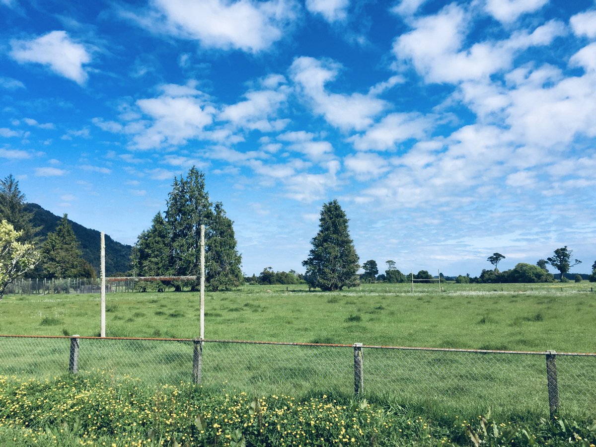 Waikato Arinui Appraisal PLD - mailchi.mp/a5ad5faae4d9/w…